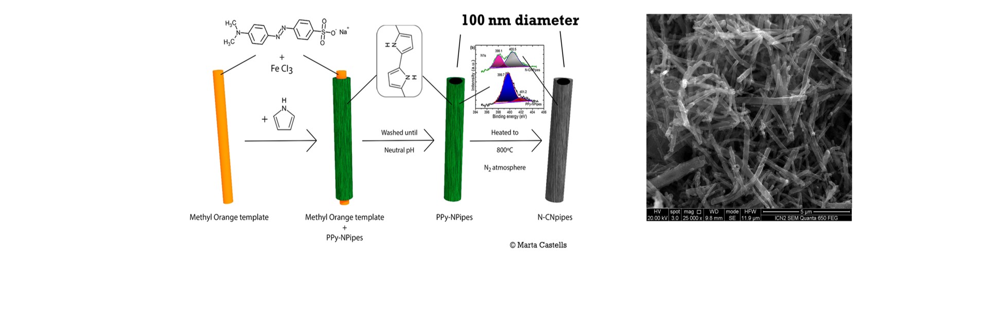 from PPy NanoPipes to N-doped C NanoPipes